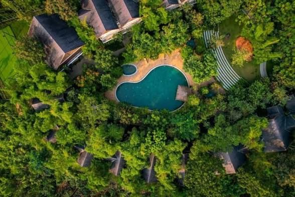 Aerial view of a forest resort with a pool